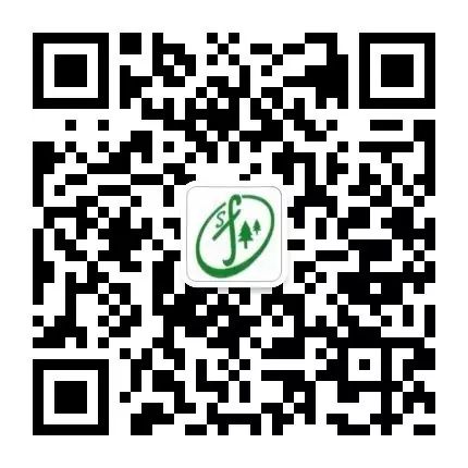 手機瀏覽 手機瀏覽